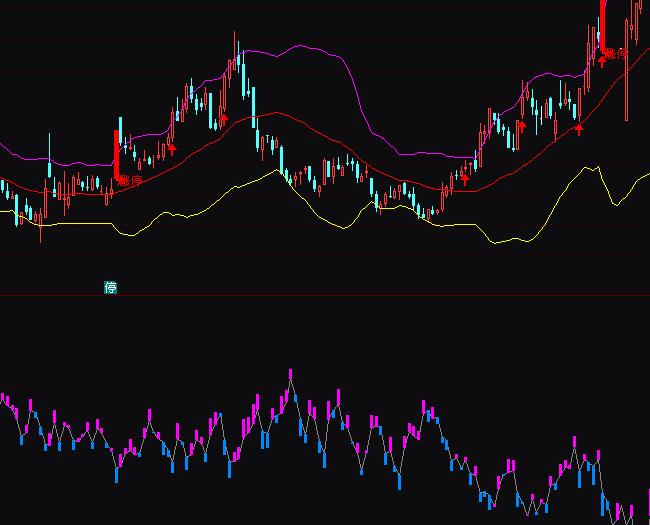 通达信免费版散户持仓统计指标公式